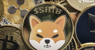 Key Features of Robinhood Shiba