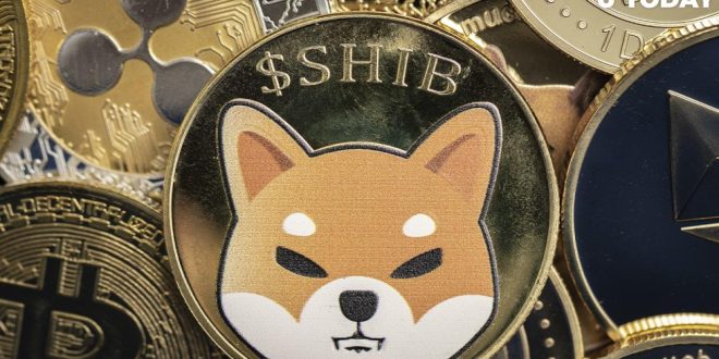 Key Features of Robinhood Shiba