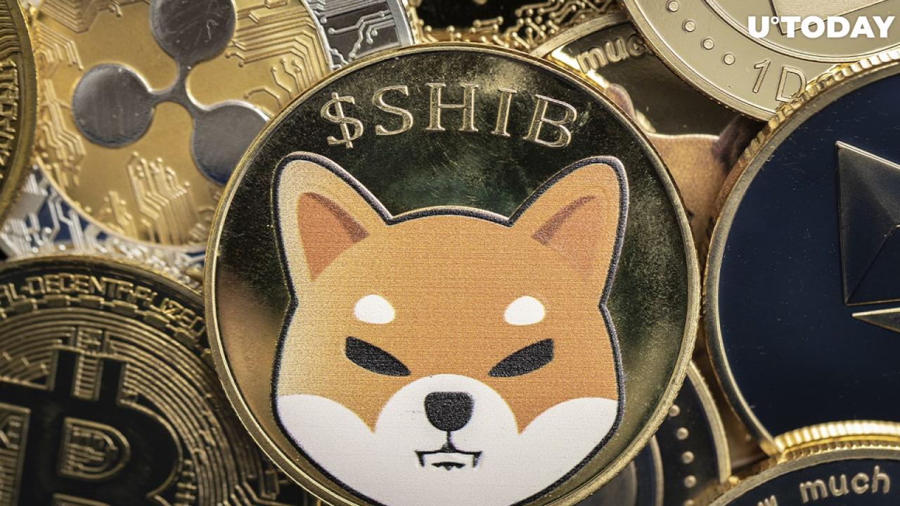 Key Features of Robinhood Shiba</