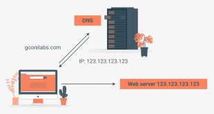 DNS Hosting: The Ultimate Guide