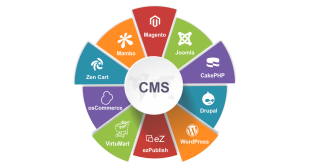 Content Management System (CMS): A Comprehensive Guide