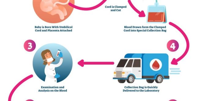 Cord Blood Donation: A Comprehensive Guide