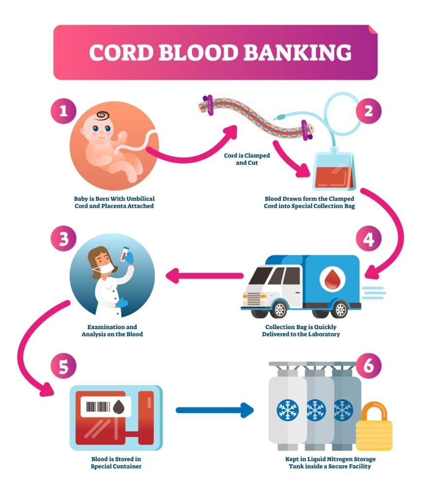 Cord Blood Donation: A Comprehensive Guide</