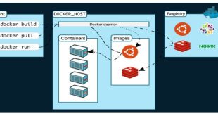 Docker Hosting: A Comprehensive Guide for Beginners
