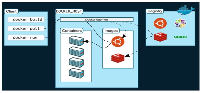 Docker Hosting: A Comprehensive Guide for Beginners</
