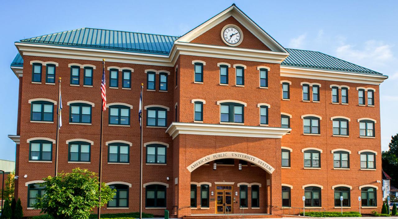 Online Colleges: A Guide to Virtual Learning</