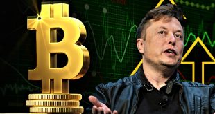 Elon Musk's Foray into Cryptocurrency