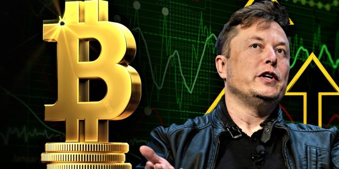 Elon Musk's Foray into Cryptocurrency