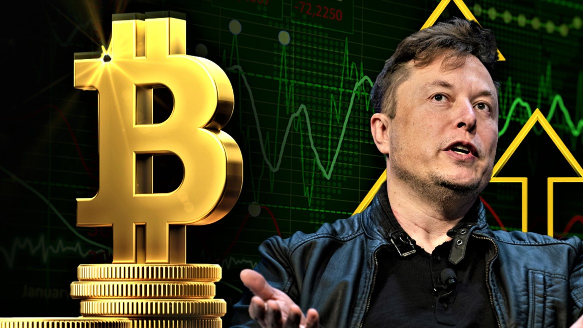 Elon Musk's Foray into Cryptocurrency</