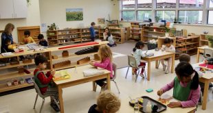 Montessori: A Pioneering Approach to Education