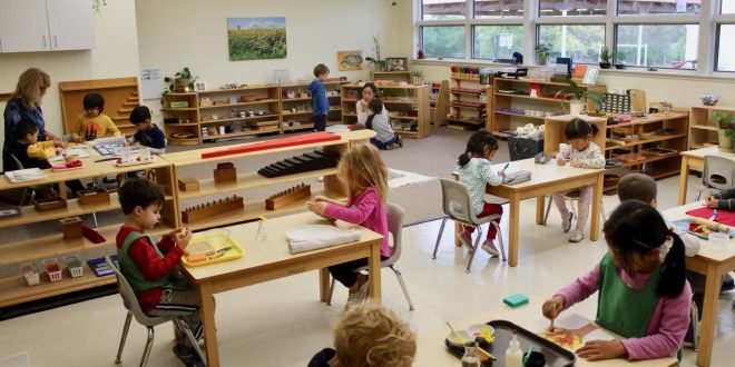 Montessori: A Pioneering Approach to Education