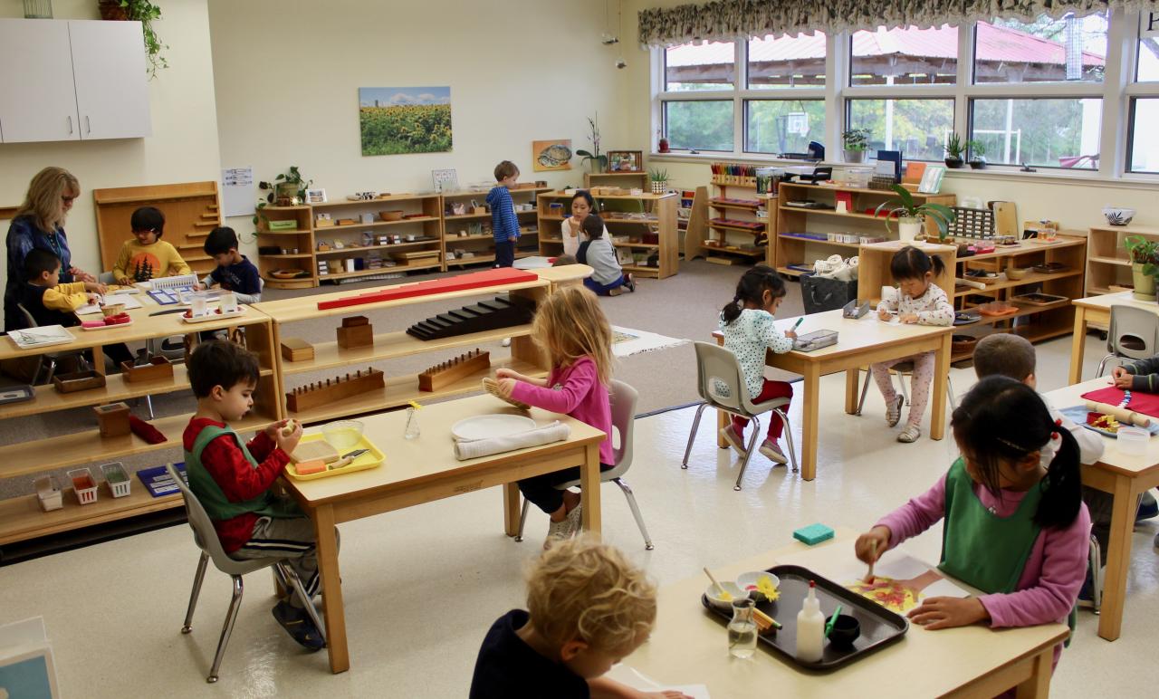 Montessori: A Pioneering Approach to Education</
