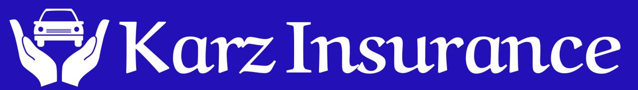 What is Karz Insurance?</