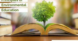 Environmental Education: Nurturing Sustainable Citizens