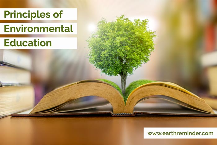 Environmental Education: Nurturing Sustainable Citizens</