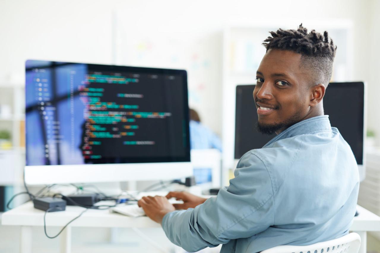 What is a Software Engineer?</