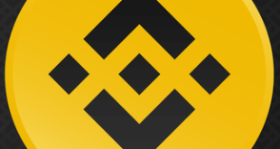 BSC Crypto: The Beginner's Guide