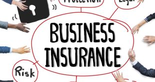 What is Company Insurance?