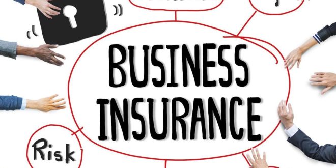 What is Company Insurance?