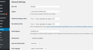 What You Should Know About WordPress Domains: A Comprehensive Guide