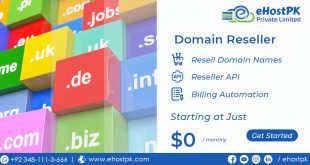 Challenges of Domain Reselling