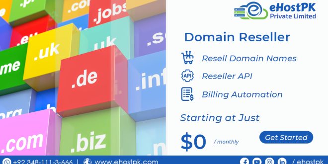 Challenges of Domain Reselling