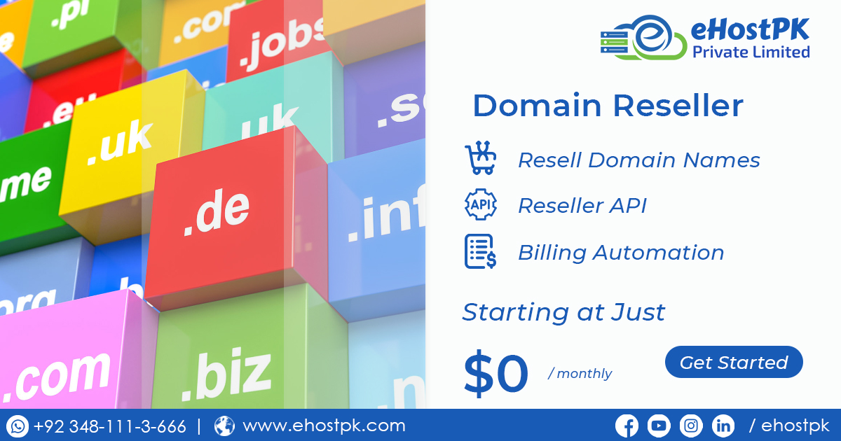 Challenges of Domain Reselling</