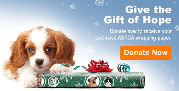 ASPCA Donations: Making a Difference in Animal Welfare</
