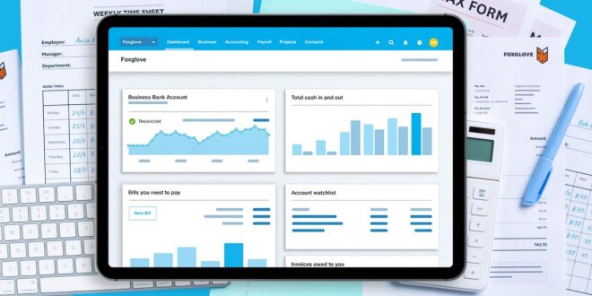 What is Accounting Software?