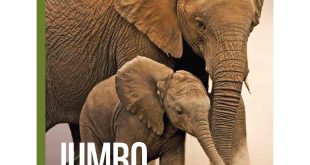 WWF Donation: How Your Contribution Can Help Protect Wildlife and Wild Places