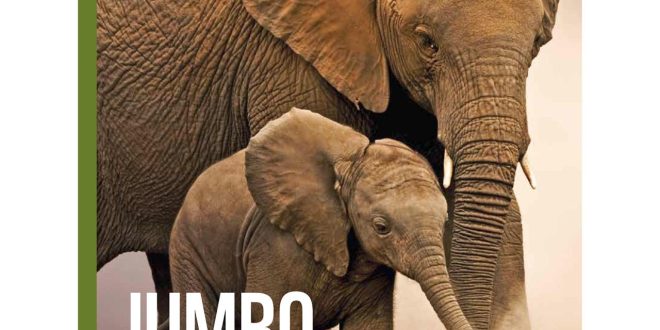 WWF Donation: How Your Contribution Can Help Protect Wildlife and Wild Places