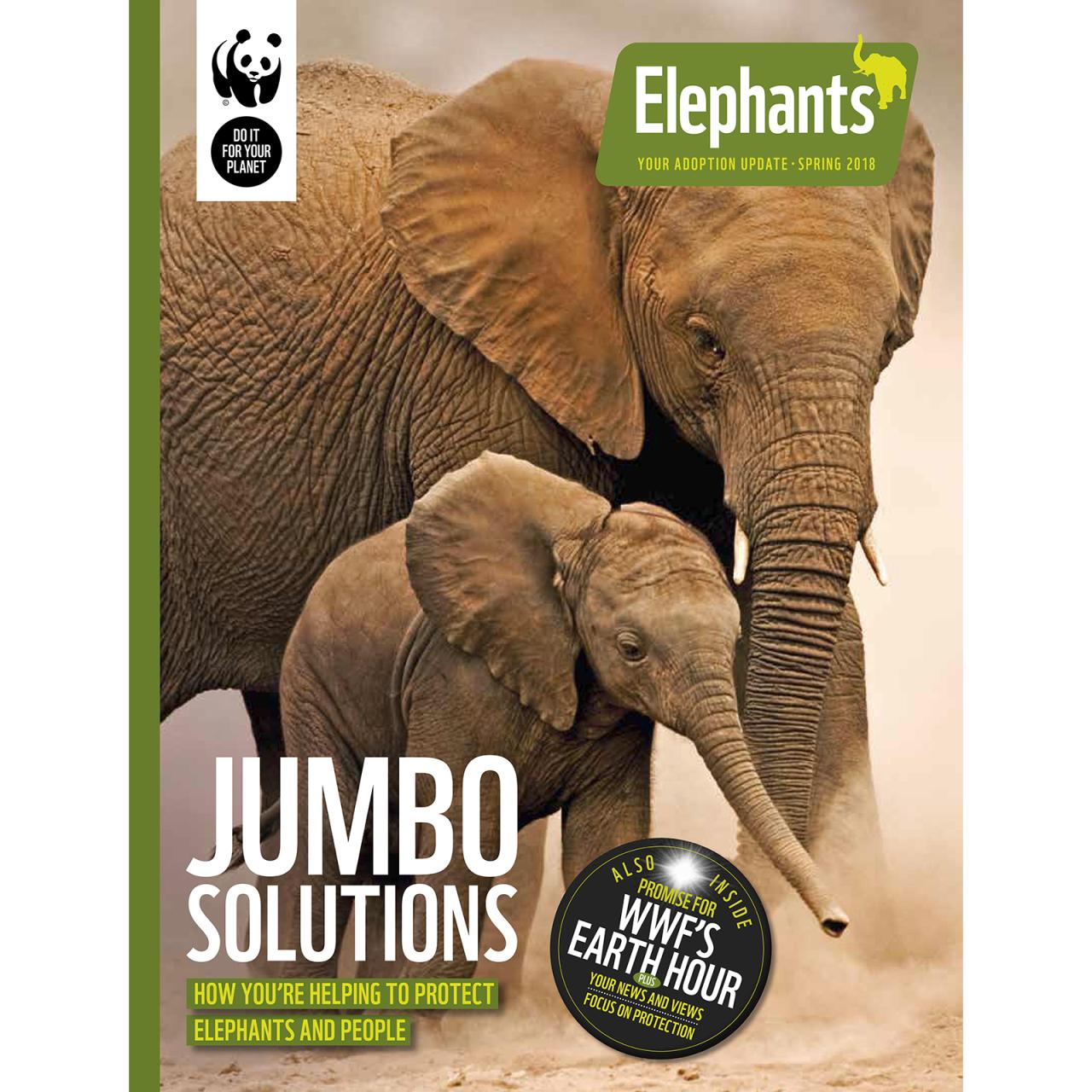 WWF Donation: How Your Contribution Can Help Protect Wildlife and Wild Places</