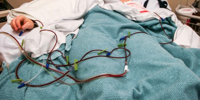 Bone Marrow Donation: The Basics