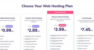 What Are Hosting Plans?