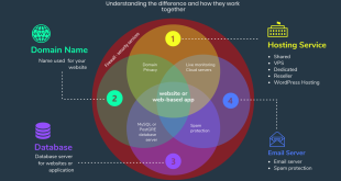 What is Domain Hosting?