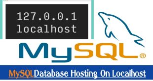 MySQL Hosting: A Comprehensive Guide to Choosing the Best Provider