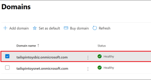 The Perks of Utilizing a Microsoft Domain