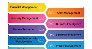 What is SAP Business One?