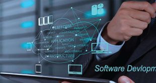 What Does a Software Development Company Do?