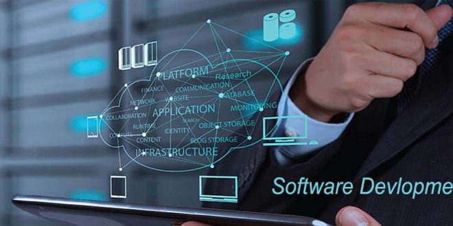 What Does a Software Development Company Do?