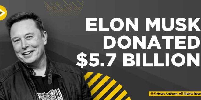 Elon Musk's Charitable Impact: A Global Perspective