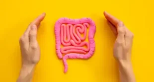 Gut Microbiome and Its Role in Preventing Lifestyle Diseases The Forgotten Organ in Digestive Health