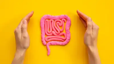 Gut Microbiome and Its Role in Preventing Lifestyle Diseases The Forgotten Organ in Digestive Health