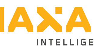Technology expert to head commercial operations for Maxar Intelligence.