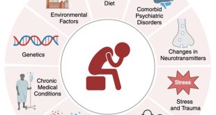 Environmental factors and lifestyle choices have a greater impact on health than genes, research indicates.