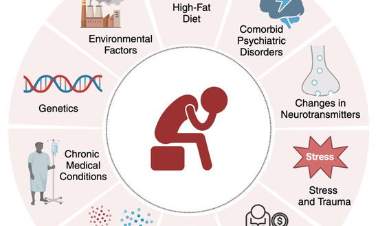 Environmental factors and lifestyle choices have a greater impact on health than genes, research indicates.