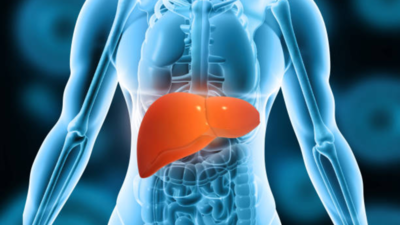 Gastroenterologist Shares Two Ways to Keep the Liver Healthy