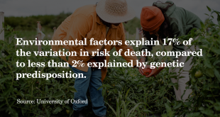 Lifestyle and environmental factors affect health and ageing more than genes, study suggests