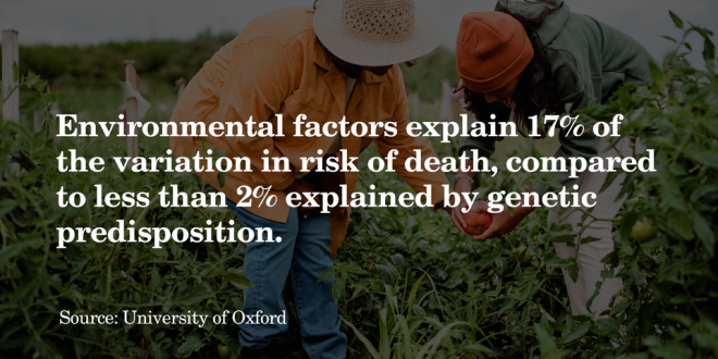 Lifestyle and environmental factors affect health and ageing more than genes, study suggests