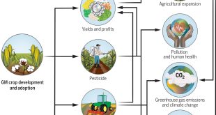 PRAU Run Companies Encouraged to Adopt Healthy Living